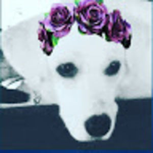 Meet your Posher, Raquel